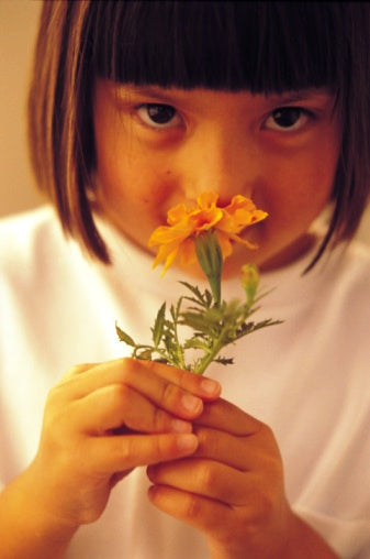 Small hands love gardens in a big way