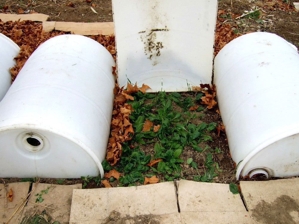 The Fall Garden: Cold Frame Craze!
