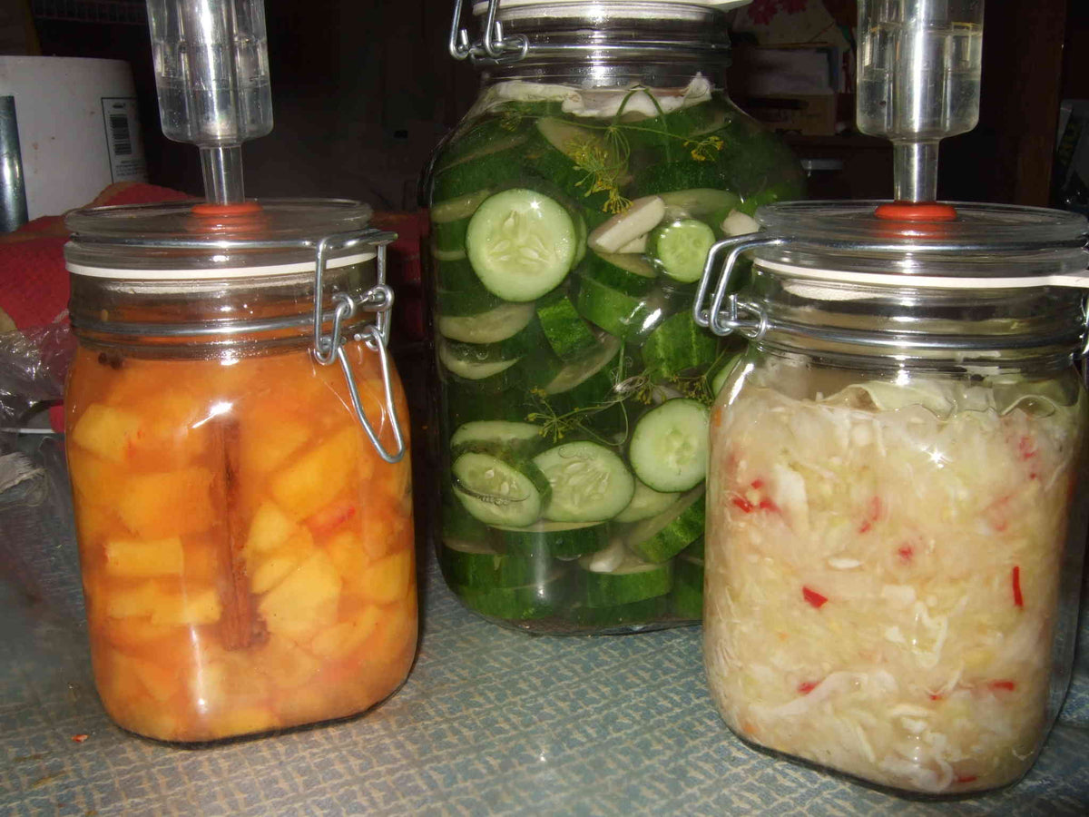 The Season for Sauerkraut (and all its cousins)