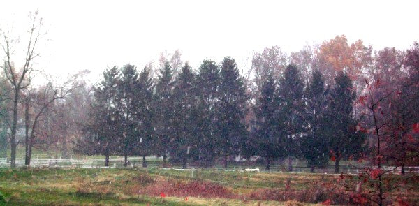 The White Stuff
