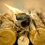 The Wonders of Wood Heat