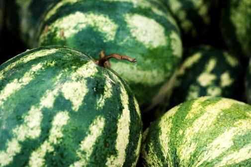 Watermelon Pickle Recipe (with cucumber amendments)