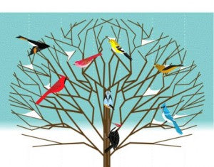 Welcoming Winter's Birds