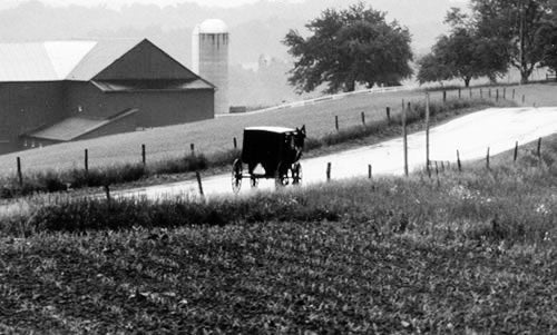 When in Amish Country...Drive Safely