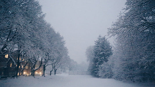 Banish the Winter Blahs