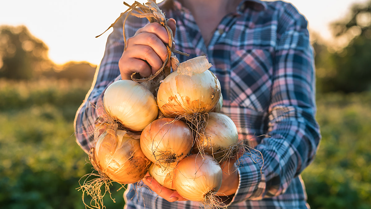 Unusual Food Preservation Ideas Worth Trying