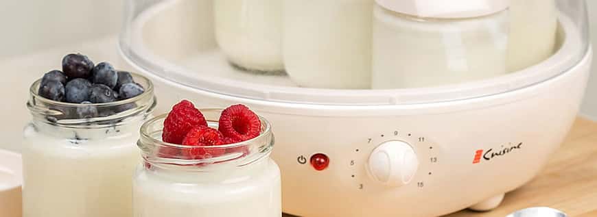 DIY Cheese and Yogurt