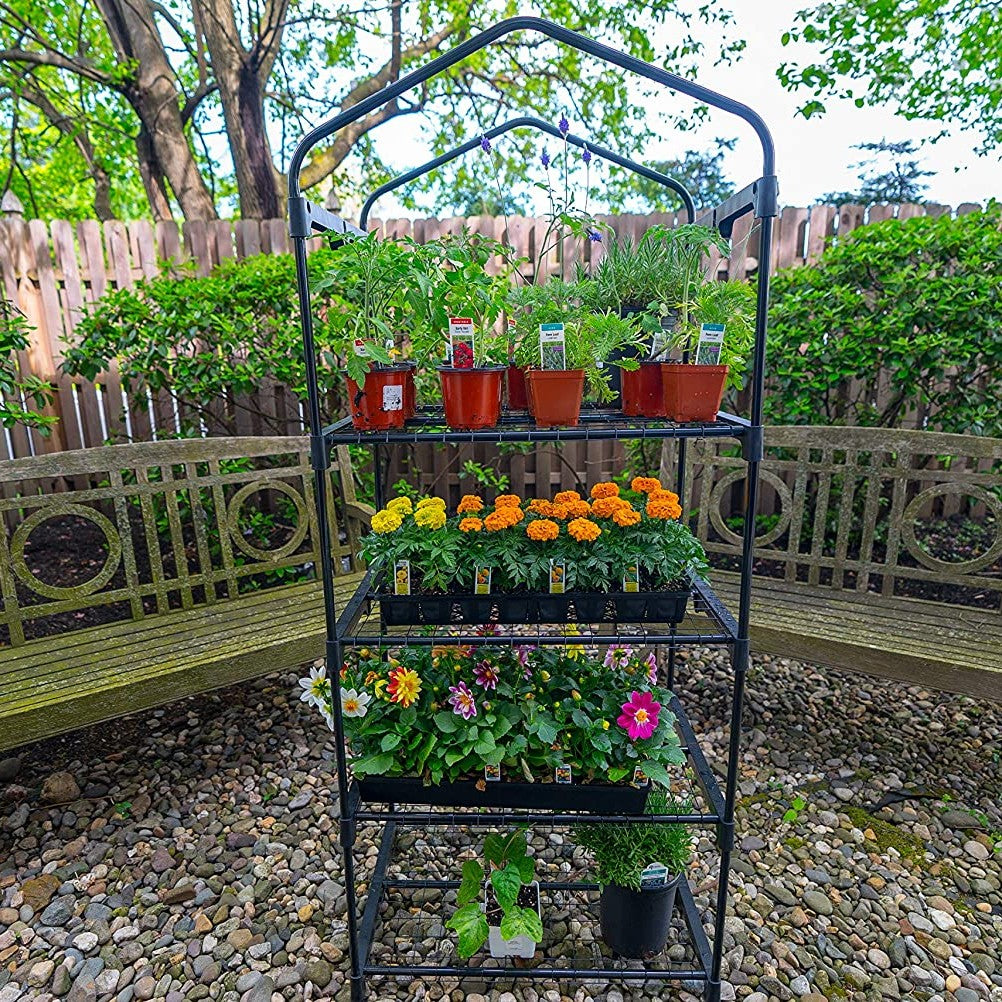 Four Shelf Greenhouse | Lehman's