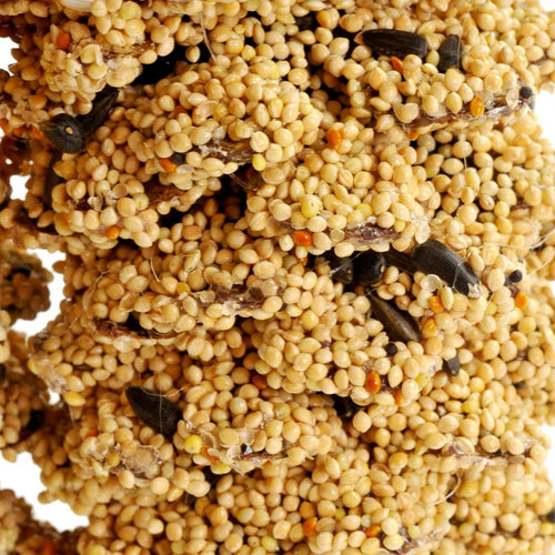 Bird Seed-Coated Pine Cone Pair