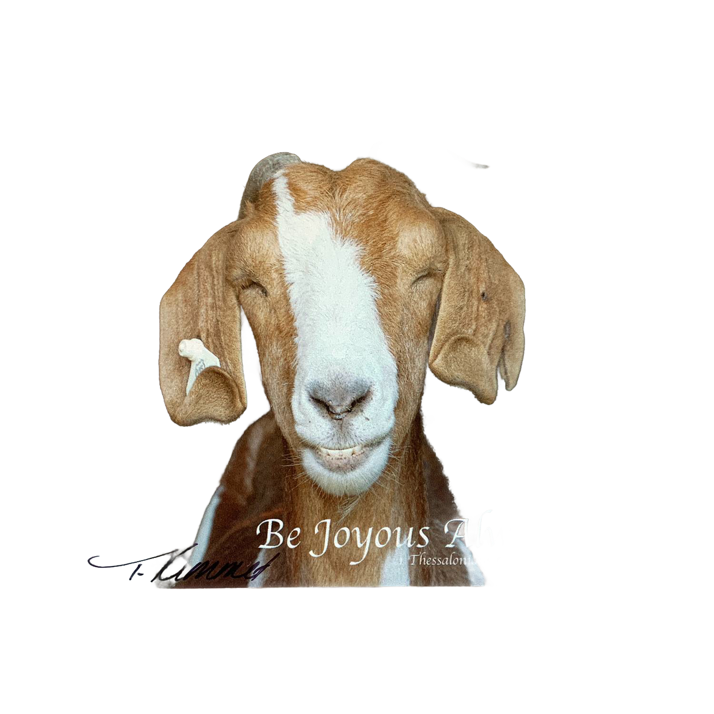 Handcrafted 5"x7" plaque featuring a smiling goat paired with the uplifting Bible verse "Be Joyous Always" from 1 Thessalonians, perfect for Home & Decor and Best Sellers collections.