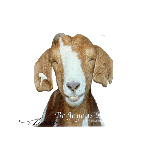Handcrafted 5"x7" plaque featuring a smiling goat paired with the uplifting Bible verse "Be Joyous Always" from 1 Thessalonians, perfect for Home & Decor and Best Sellers collections.
