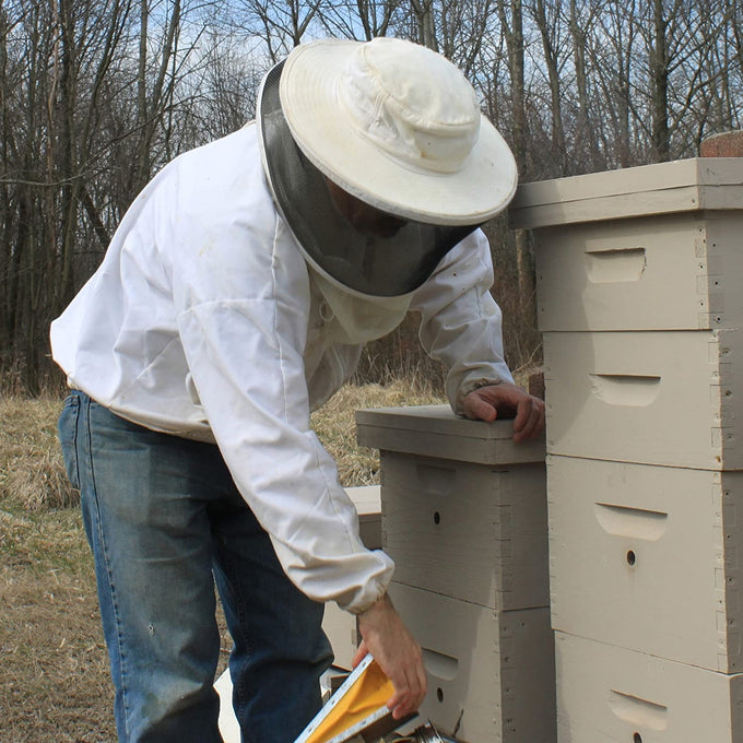 Beekeeper in protective clothing inspecting wooden beehives outdoors, illustrating natural honey sourcing and handcrafted, USA made products in Health & Wellness and Soaps collections.