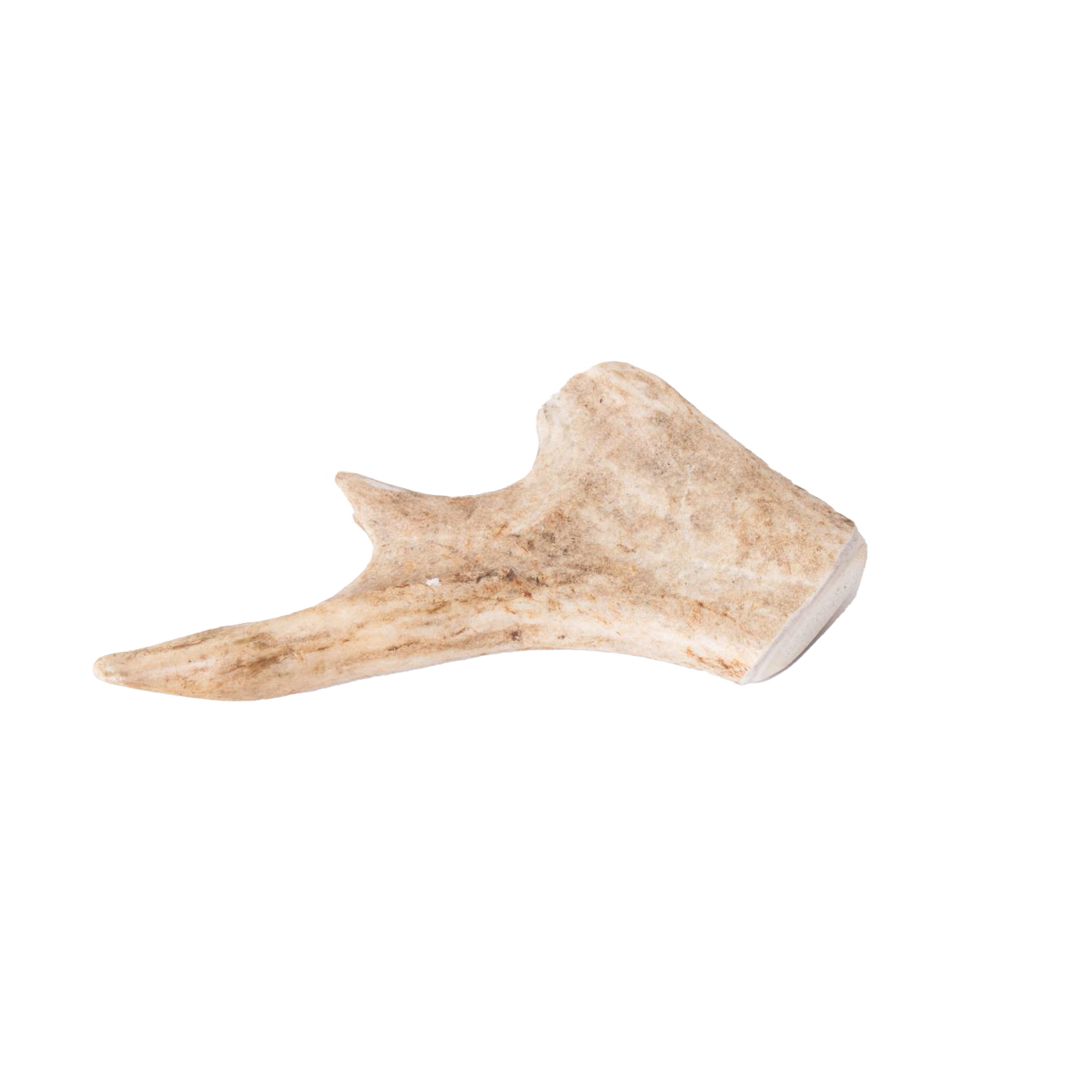 Handcrafted natural deer antler dog chew showcasing a smooth, durable texture, ideal for pets, featured in Home & Decor, Pet Supplies, USA Made, Best Sellers, and Promo Eligible collections.