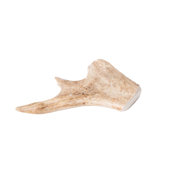 Handcrafted natural deer antler dog chew showcasing a smooth, durable texture, ideal for pets, featured in Home & Decor, Pet Supplies, USA Made, Best Sellers, and Promo Eligible collections.