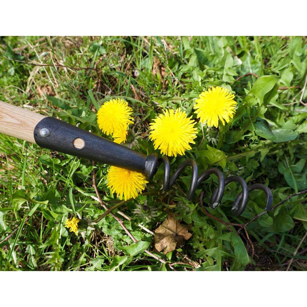 Black metal corkscrew weeder with a dark handle and wooden shaft, designed for effective root removal in Farm, Garden & Tool, Digging and Cultivating, Best Sellers, Promo Eligible, and Sale collections.
