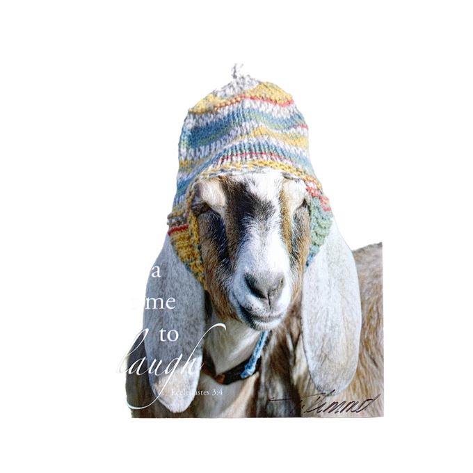 Handcrafted animal magnet featuring a white and brown goat wearing a colorful knit hat with the uplifting verse "A time to laugh" from Ecclesiastes 3:4, perfect for Home & Decor, Best Sellers, and Promo Eligible collections.