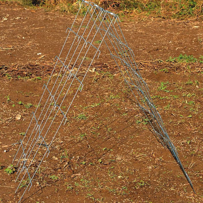 A-Frame Garden Trellis for Cucumber and Squash