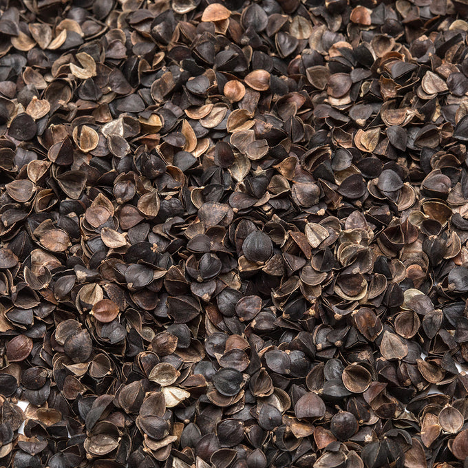 Close-up of natural dark brown buckwheat hulls with varied earthy tones and textured surfaces, used as adjustable filling for handcrafted buckwheat bed pillows in Home & Decor and USA Made collections.