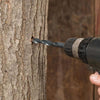 Close-up of a 7/16" tapping bit drilling a hole into mature tree bark, demonstrating tree sap collection tools used in orchard and grove, maple syrup sugaring supplies, and farm collections.