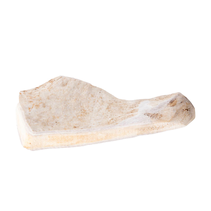 Natural split deer antler dog chew with smooth, durable texture and light coloring, providing a healthy, long-lasting treat in Pet Supplies, USA Made, and Best Sellers collections.