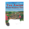 Colorful DVD cover illustration depicting an Amish barn raising with traditional timber framing, horse-drawn buggy, and rural landscape, part of heritage and lifestyle books in toys, games, and best sellers collections.