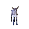 Handcrafted animal magnet featuring a charming young goat, designed to uplift with an inspiring verse, perfect for Home & Decor, Best Sellers, and Promo Eligible collections.