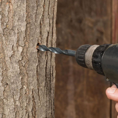 Handcrafted 7/16" tapping bit with 3/8" shank drilling a precise hole in maple tree bark, designed for use in Farm, Garden & Tool, Orchard and Grove, and Maple Syrup Sugaring Supplies collections.