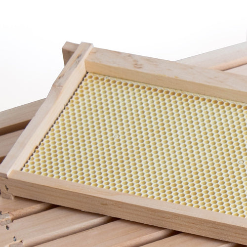 Handcrafted Amish made medium wood bee frame fitted with a sturdy heavy waxed plastic foundation, compatible with multiple hive sizes, featured in Beekeeping Supplies collections.