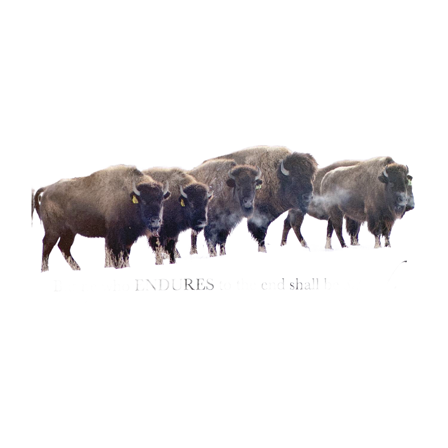 Handcrafted deluxe magnet featuring a group of majestic bison in a natural stance, designed to inspire and elevate spaces within Home & Decor, Best Sellers, and Promo Eligible collections.