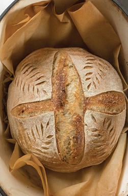 Artisan Bread Lame with 15 Blades