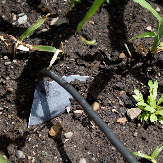 Handcrafted Dutch garden hoe with a sharp forged steel blade slicing beneath soil surface among plants, designed for precision weeding in Farm, Garden & Tool, Garden Accessories collections.