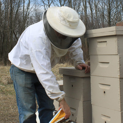 Person dressed in white protective beekeeper gear tending to wooden beehives in an outdoor natural setting, showing traditional beekeeping practices linked to Health & Wellness, Soaps, USA Made, and Best Sellers collections.