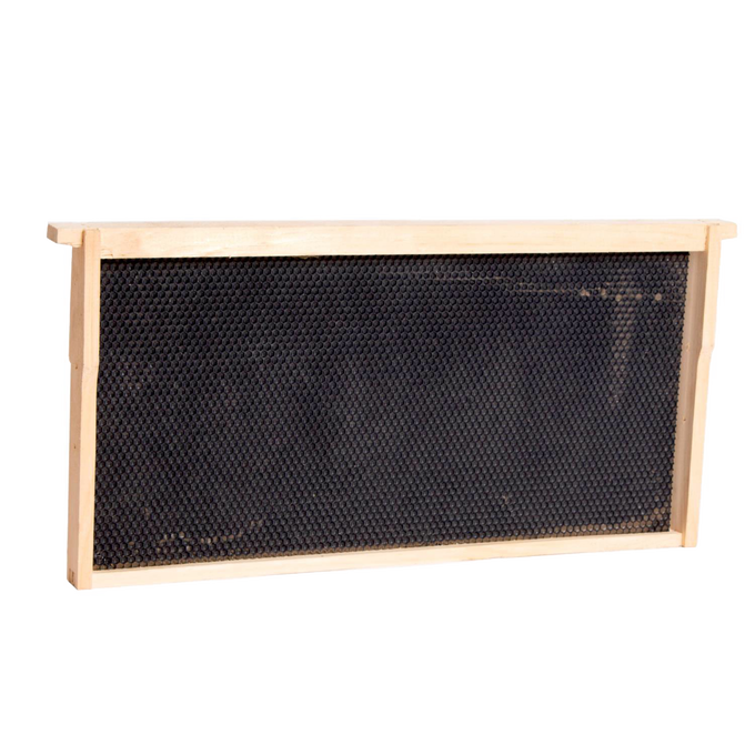 Handcrafted Amish made deep wood bee frame with heavy waxed plastic foundation, durable for beekeeping, fitting 5, 8, and 10-frame hives, part of USA Made and Beekeeping Supplies collections.