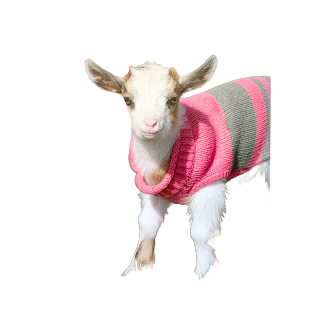 Handcrafted animal deluxe magnet featuring a young goat wearing a pink and gray striped sweater, designed to uplift with an inspiring verse for Home & Decor, Best Sellers, and Promo Eligible collections.