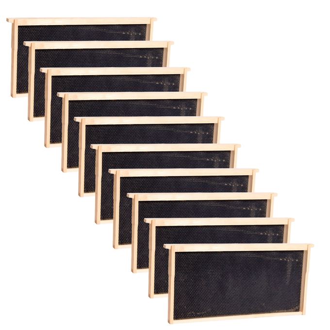 Set of handcrafted Amish made deep bee frames featuring sturdy heavy waxed plastic foundation, suitable for various hive sizes, part of USA Made and Beekeeping Supplies collections.