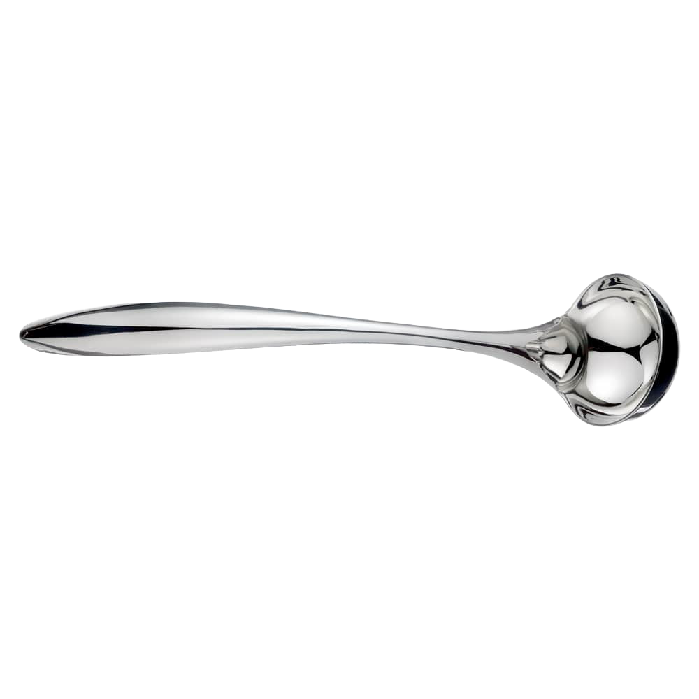 Stainless Steel Small Ladle | Lehman's