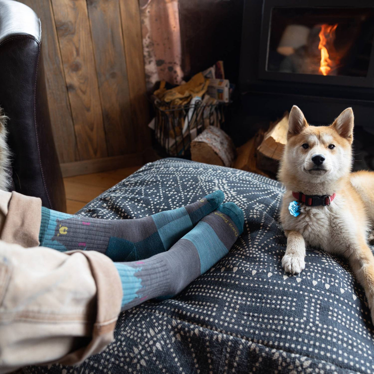 Darn Tough Women's Bear Town Micro Crew Socks