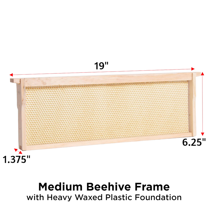 Handcrafted Amish made medium wood bee frame featuring a sturdy heavy waxed plastic foundation, compatible with 5, 8, and 10-frame hives, part of USA Made and Beekeeping Supplies collections.