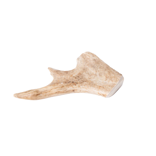 Handcrafted natural deer antler dog chew with a smooth, durable finish, providing a long-lasting, odor-free treat, featured in Pet Supplies, USA Made, Home & Decor, and Best Sellers collections.
