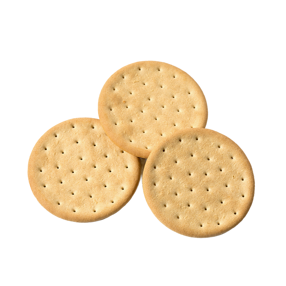Three round pilot bread crackers with uniform perforations, showcasing handcrafted emergency food ideal for kitchen, pantry, and emergency supplies collections.