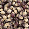 Close-up of medium blue and cream popcorn kernels, naturally dried and harvested the old-fashioned way, featured in Kitchen & Food, Snacks and Sweets, and USA Made collections.