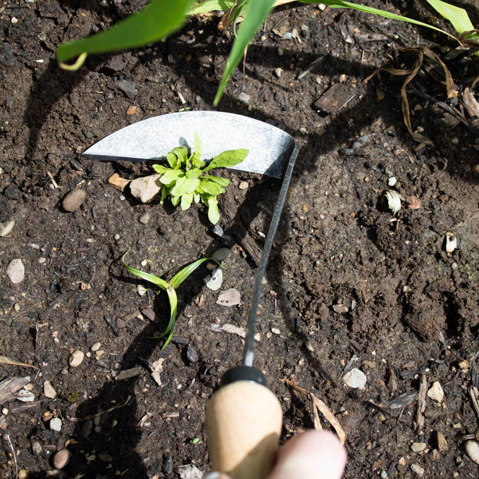 Handcrafted garden hoe with a double-sided metal blade and smooth wooden handle, designed for durable weed and grass removal in Farm, Garden & Tool, Garden Accessories, Best Sellers, Promo Eligible collections.