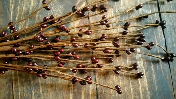 Close-up of slender brown stems with small, dark red berries arranged on a rustic wooden surface, creating a natural, handcrafted look that complements Health & Wellness and Clothing and Accessories collections.
