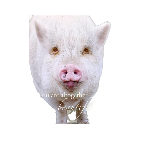 Handcrafted deluxe magnet featuring a sweet white piglet with a gentle expression and the uplifting verse "You are altogether beautiful" from Song of Solomon, perfect for Home & Decor, Best Sellers, and Promo Eligible collections.