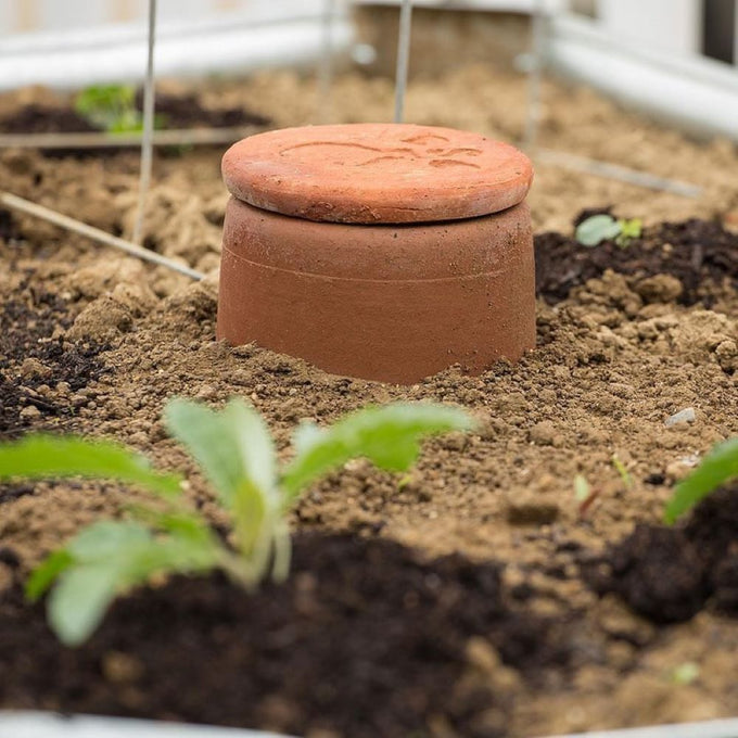 Unglazed terra cotta watering pot partially buried in soil, designed for slow irrigation in small gardens and containers, featured in Farm, Garden & Tool, Garden Accessories, Lawncare, Best Sellers, and Promo Eligible collections.