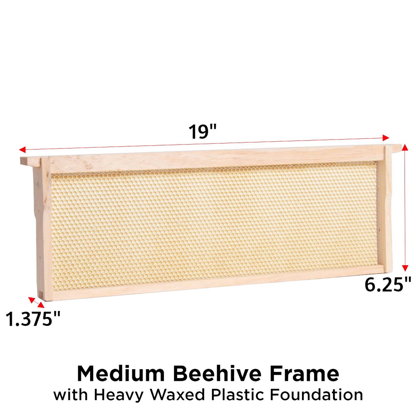 Handcrafted Amish made medium wooden bee frame featuring a sturdy heavy waxed plastic foundation, designed for 5, 8, and 10-frame hives, part of USA Made and Beekeeping Supplies collections.