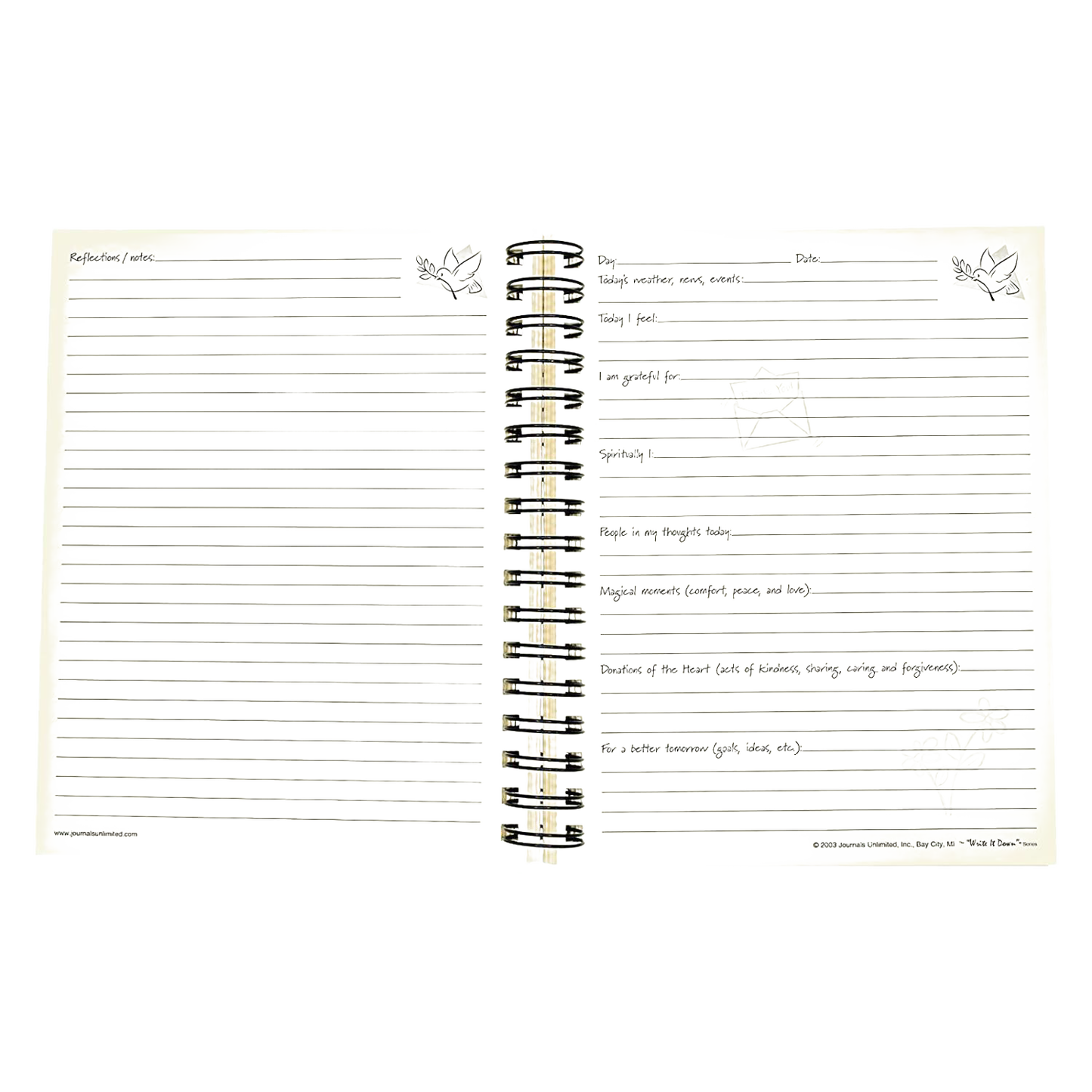 Open spiral-bound guided journal with handwritten gratitude prompts and floral illustrations, designed to inspire mindful reflection, featured in Toys, Books & Games and Heritage and Lifestyle Books collections.