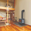 Modern wood heat stove with a visible burning fire, set on a tiled hearth in a warm living room with wooden floors and leather furniture, from Stoves and Heatstoves collections.