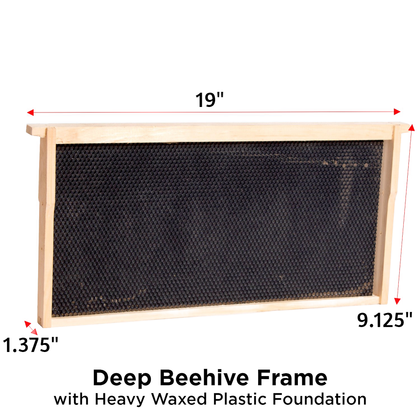 Handcrafted Amish made deep wood bee frame featuring a sturdy heavy waxed plastic foundation, compatible with multiple frame sizes, part of USA Made and Beekeeping Supplies collections.