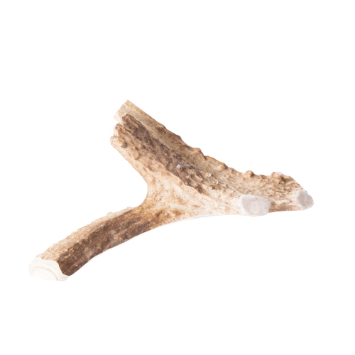 Natural split deer antler dog chew with textured surface and clean-cut ends, offering a long-lasting, odor-free, and additive-free treat in Pet Supplies and USA Made collections.